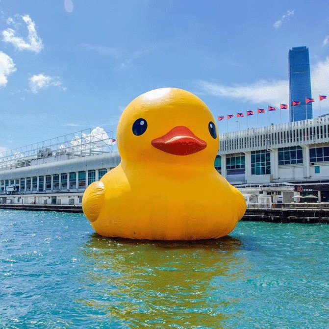 Giant yellow inflatable duck floating beside a waterfront building