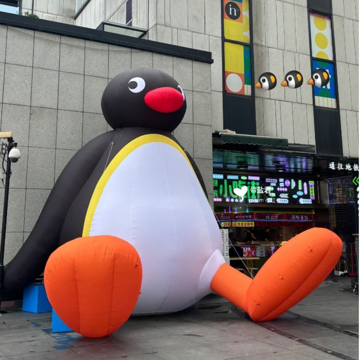 Seated inflatable penguin character with orange feet and a red beak